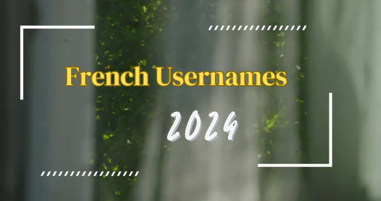 420+ French Usernames Ideas 2024