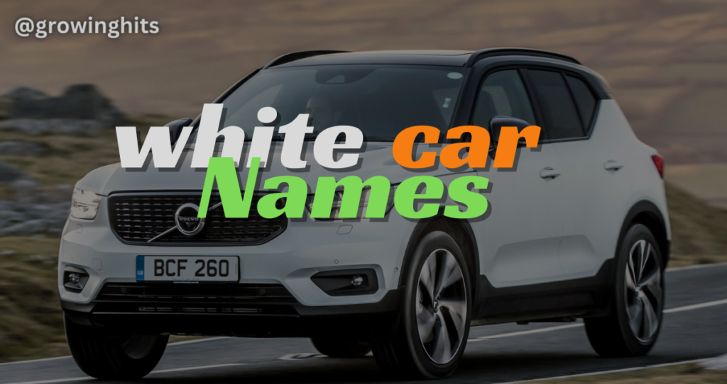 1020+ White Car Names Ideas 2024: Funny Badass for Male & Female